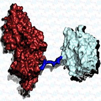 Siêu enzyme mới có thể 