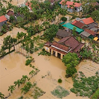 Việt Nam đang chịu 