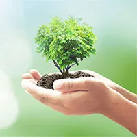 Nguy cơ đại dịch mới từ những virus "vô danh"