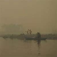 Bảo tồn đất than bùn có thể ngăn ngừa các bệnh mới lây sang người