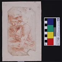 Vi khuẩn và nấm kỳ lạ được phát hiện trên bản vẽ của Leonardo da Vinci