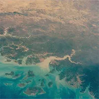 NASA "nhờ" AI lập bản đồ cây, phát hiện hàng tỉ cây xanh ở hoang mạc