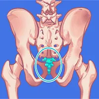 Top 9 bộ phận vô dụng trên cơ thể chúng ta, nhưng lại là "bảo chứng sinh tồn" của quá trình tiến hóa