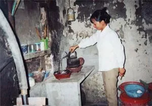Chương trình Khí sinh học cho ngành chăn nuôi Việt Nam được đề cử