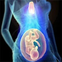 Phát hiện cơ quan quan trọng bảo vệ mẹ và bé trong suốt thai kỳ