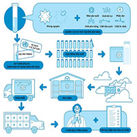 Quá trình kiểm tra chất lượng, phân phối vaccine