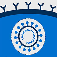 Vì sao biến thể SARS-CoV-2 mà nữ công nhân Hải Dương nhiễm được gọi là “chìa khóa chủ”?