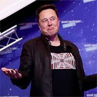 Neuralink đã cấy thành công chip vào não của một con khỉ, và giờ nó có thể chơi game bằng ý nghĩ