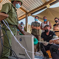 Tạo phôi thai thành công từ đôi tê giác trắng phương Bắc cuối cùng