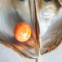Ngư dân nghèo nhặt được ngọc màu cam hiếm có, được trả giá tới 7,6 tỷ đồng