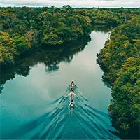 Vì sao không có cây cầu nào dám bắc qua sông Amazon?