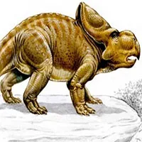 Công cụ đặc biệt của loài khủng long Protoceratops dùng để tán tỉnh bạn tình