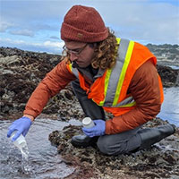 Phương pháp mới dự báo chất lượng nước biển