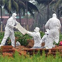 Cảnh báo virus từ dơi gây phù não có thể là đại dịch tiếp theo