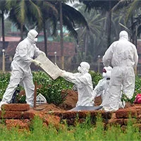 Cảnh báo virus từ dơi gây phù não có thể là đại dịch tiếp theo