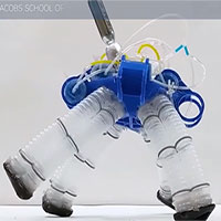 Robot bước đi giống rùa không cần mạch điện tử