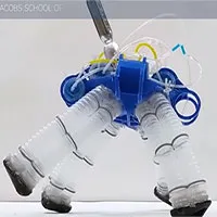 Robot bước đi giống rùa không cần mạch điện tử