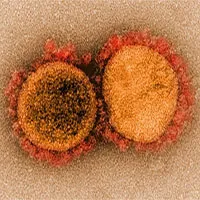 "Kịch bản ác mộng" từ biến chủng virus mới phát hiện ở California