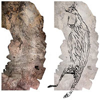 Tìm thấy tranh vẽ kangaroo cổ xưa nhất Australia