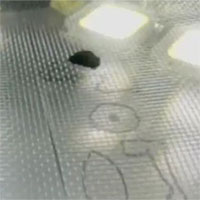 Điều khiển vật thể bay lơ lửng bằng ánh sáng