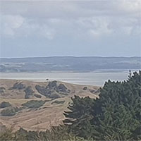 Sóng thần sau loạt động đất mạnh ở Thái Bình Dương