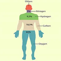 Những nguyên tố hóa học nào có trong cơ thể người?