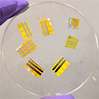 Hình xăm OLED phát sáng, không cần phẫu thuật để xóa