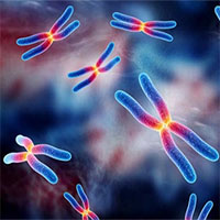 Căn bệnh mới có thể gây tử vong, chỉ nam giới mắc