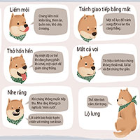 Giải mã ngôn ngữ cơ thể của chó và mèo