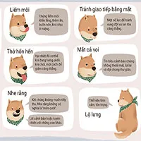 Giải mã ngôn ngữ cơ thể của chó và mèo