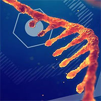 Lần đầu tiên trong lịch sử, các nhà nghiên cứu Israel phát hiện ra loại RNA mới, rất hiếm