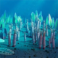 Phát hiện gene của quái vật biển 5 triệu năm tuổi trong cơ thể người