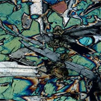 Khoan 1.600m xuống đáy Thái Bình Dương, nhà khoa học kinh ngạc với thứ tìm được: Độc nhất vô nhị!