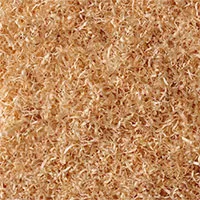 Nhựa làm từ bột gỗ phân hủy trong 3 tháng