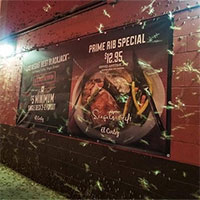 Đàn châu chấu 30 tấn từng xâm chiếm Las Vegas