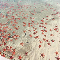 Hãy nhớ, tuyệt đối không được check-in với thứ này khi đi biển Phú Quốc