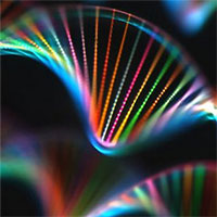 Lần đầu tiên có thể thu thập DNA của cơ thể sống thông qua không khí