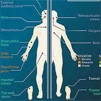 Điều gì ảnh hưởng đến hệ vi sinh vật của cơ thể người?