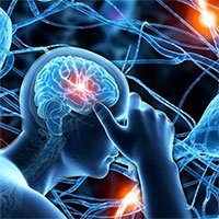 Các tế bào não phục hồi chức năng DNA của chúng như thế nào khi bị già hóa?