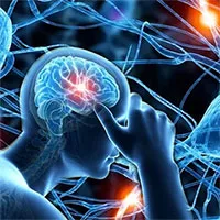 Các tế bào não phục hồi chức năng DNA của chúng như thế nào khi bị già hóa?