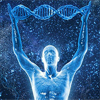 Xác định yếu tố then chốt liên quan đến tuổi thọ