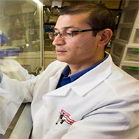 Loại keo đặc biệt tái tạo tế bào thần kinh