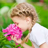 Vì sao hoa lại có mùi hương?