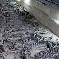 Hãi hùng cách hiến tế 600 chiến mã trong lăng mộ vua Trung Hoa