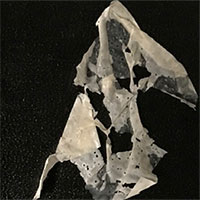 Loại nhựa sinh học có thể tự hủy trong vài ngày