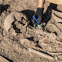 Được thuê làm vườn, công nhân phát hiện hài cốt 5 thế kỷ khiến chuyên gia kinh ngạc