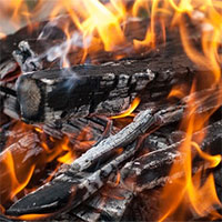 Vì sao gỗ nổ tanh tách trong đám cháy?