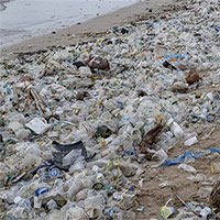 Trung Quốc phát triển tổ hợp vi khuẩn mới có khả năng 