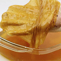 Loại quần áo có thể được làm từ tảo?