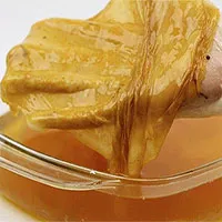 Loại quần áo có thể được làm từ tảo?